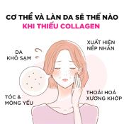 Viên Uống Dhc Collagen  Tăng Cường Độ Đàn Hồi, Giảm Nếp Nhăn, Làn Da Mịn Màng 360 Viên-2