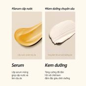 Kem Dưỡng Dalba 2 Ngăn Nấm Truffle Trắng Dalba Cấp Ẩm Sâu Và Tăng Độ Đàn Hồi Da 70G-4
