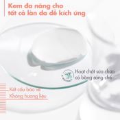 Kem Dưỡng Avene CICALFATE+ Phục Hồi Da, Lành Sẹo, Ngừa Khuẩn Cho Da Nhạy Cảm 40ml-4