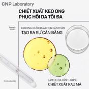 Tinh Chất Cnp Laboratory Propolis Energy Active Ampule Keo Ong Tái Tạo Phục Hồi Da 30ml-3